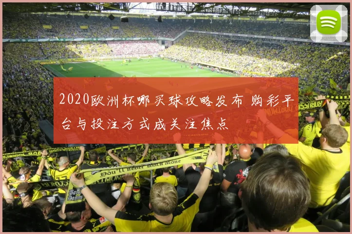 2020欧洲杯哪买球攻略发布 购彩平台与投注方式成关注焦点
