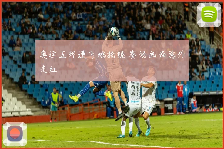 奥运五环遭飞蛾抢镜 赛场画面意外走红