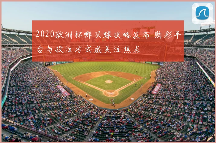 2020欧洲杯哪买球攻略发布 购彩平台与投注方式成关注焦点