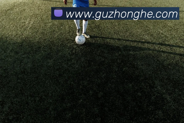 奖项证书